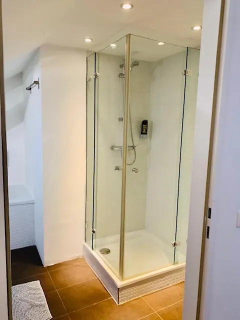 Aurellia Deluxe Apartments Вена